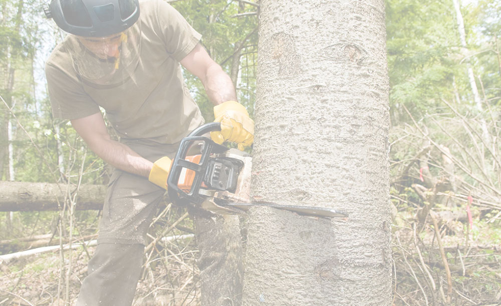 Tree stump removal for pool excavation in Dallas Fort Worth North Texas